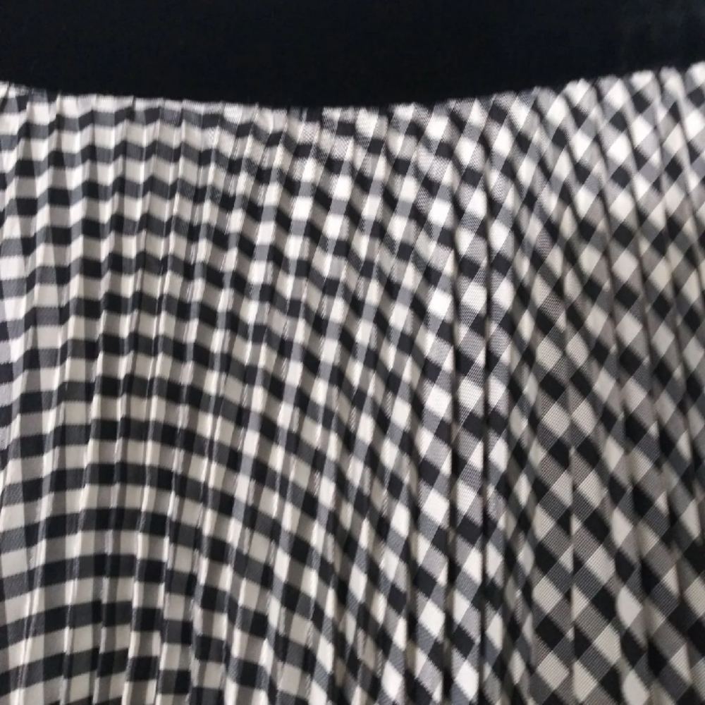 Women's custom made accordion pleated skirt - 6/8